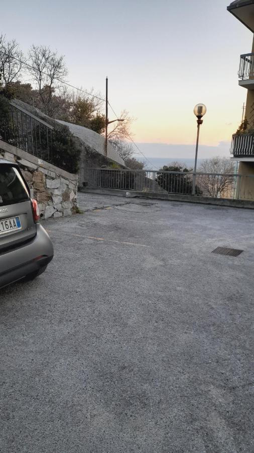 ' Ninfea' Lt Genua