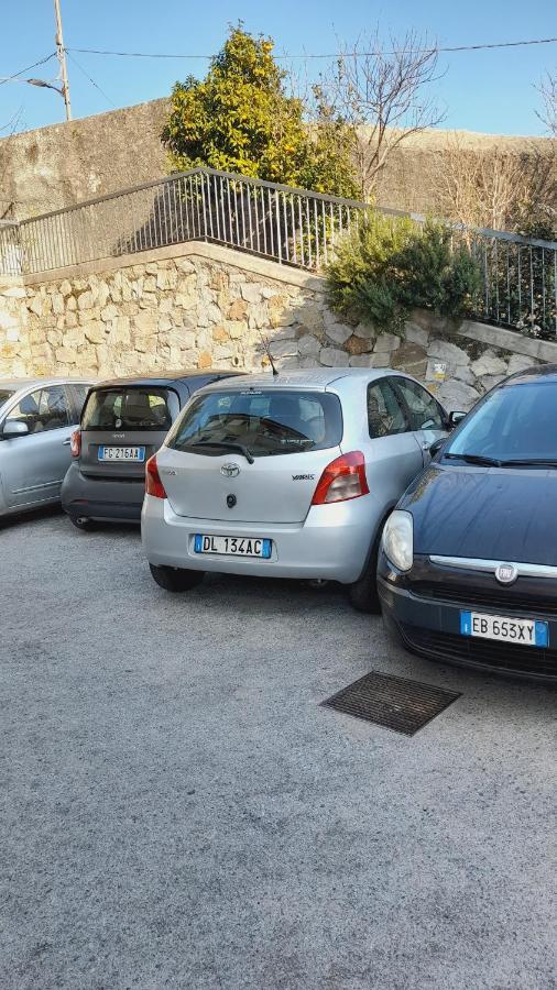 ' Ninfea' Lt * Genua
